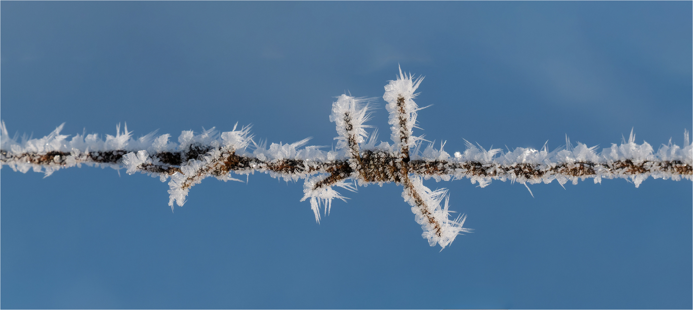 Stacheldraht vom eisigen Frost umschlossen  .....