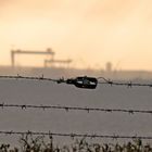 stacheldraht vor den kränen der hdw... geisterhaft still liegt der strand in der flaute