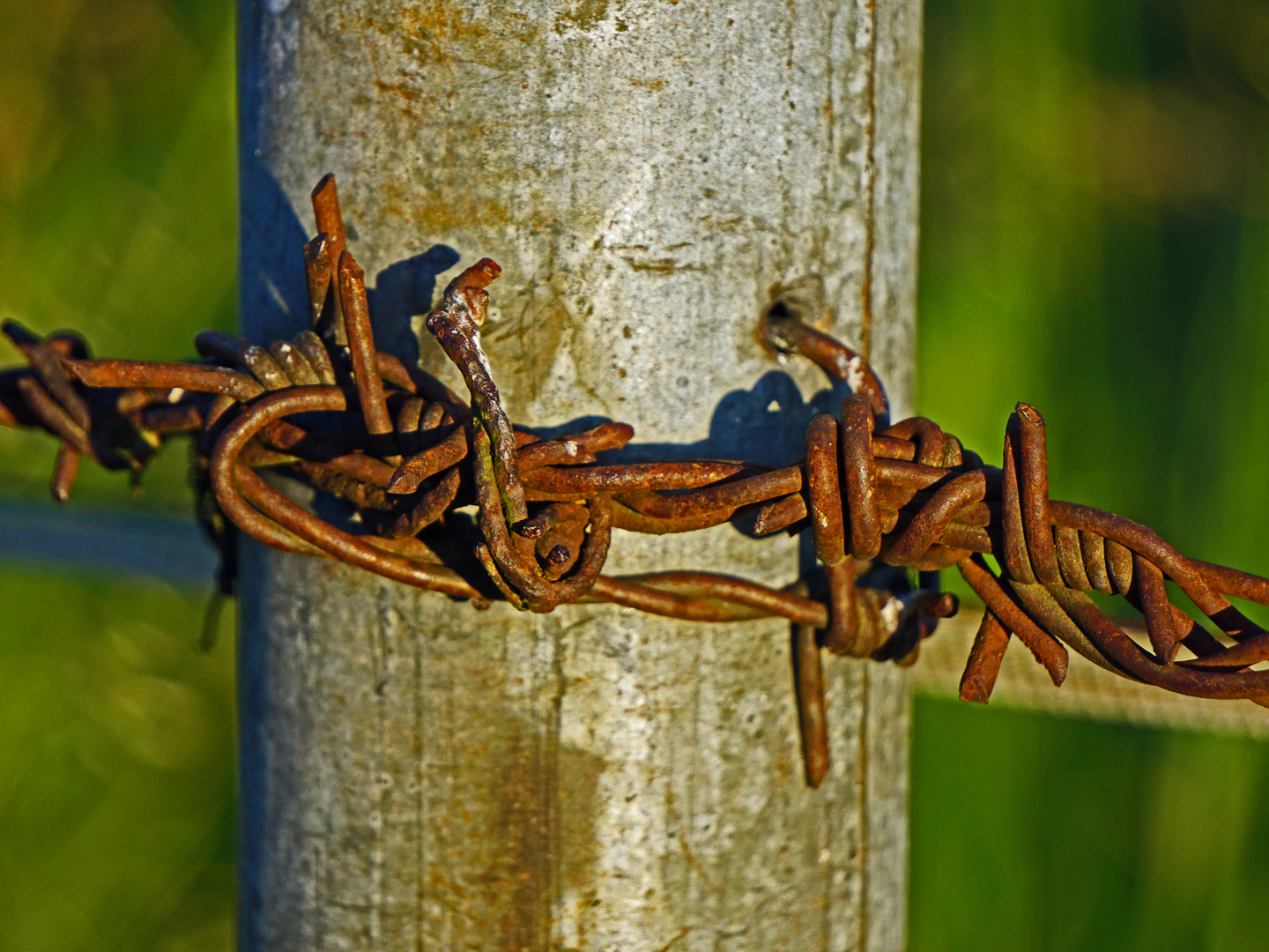 Stacheldrahtknoten