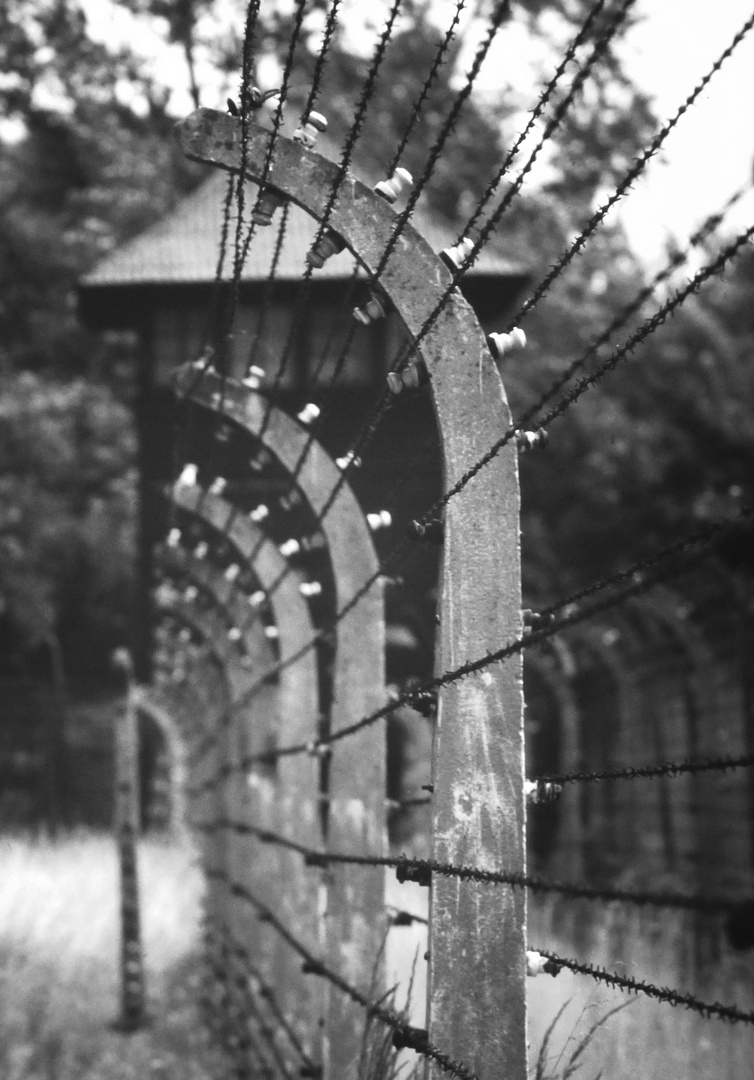 Stacheldrahtzaun - eine betroffen machende Auschwitz-Impression