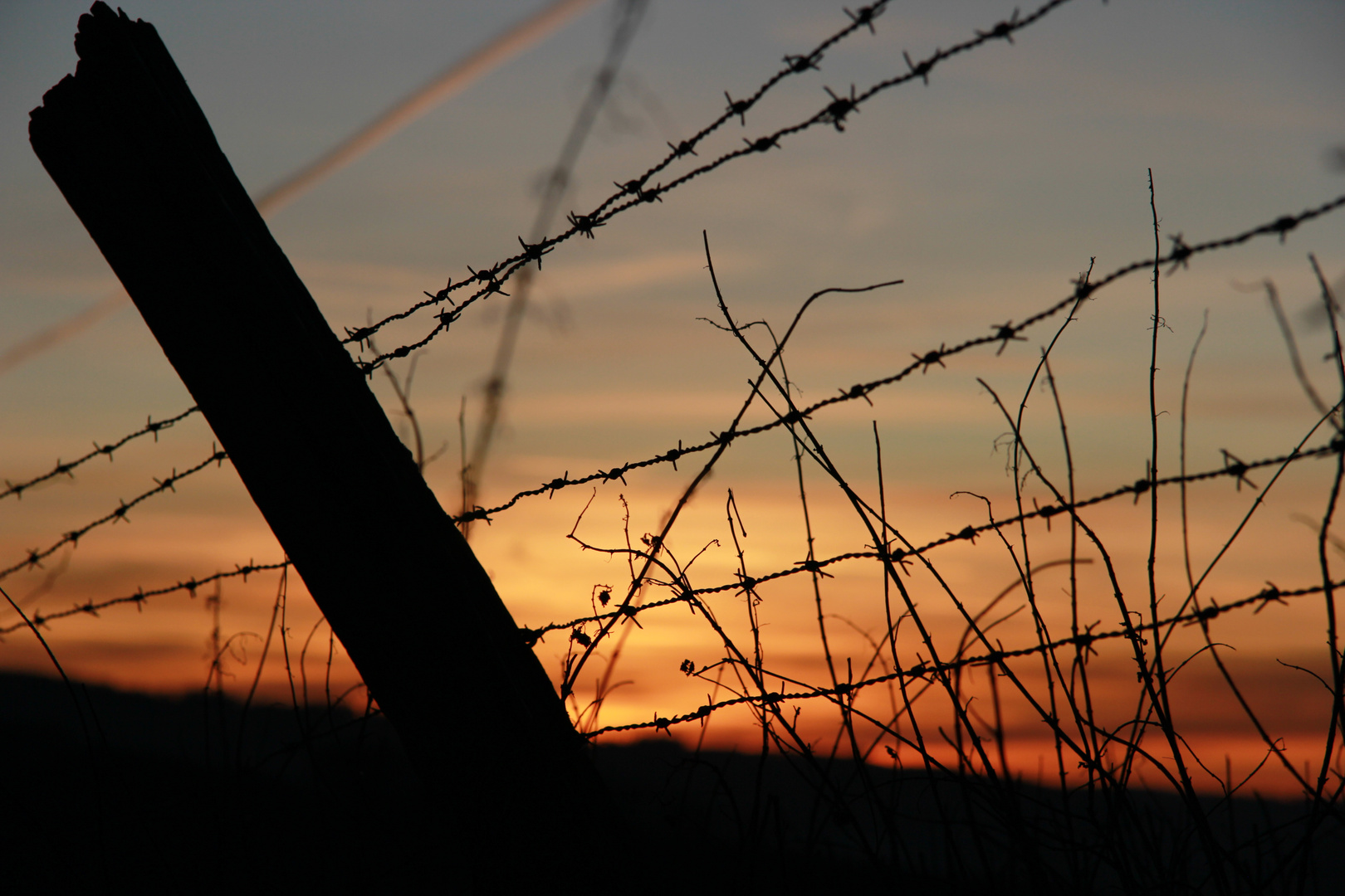 Stacheldrahtzaun im Sonnenuntergang