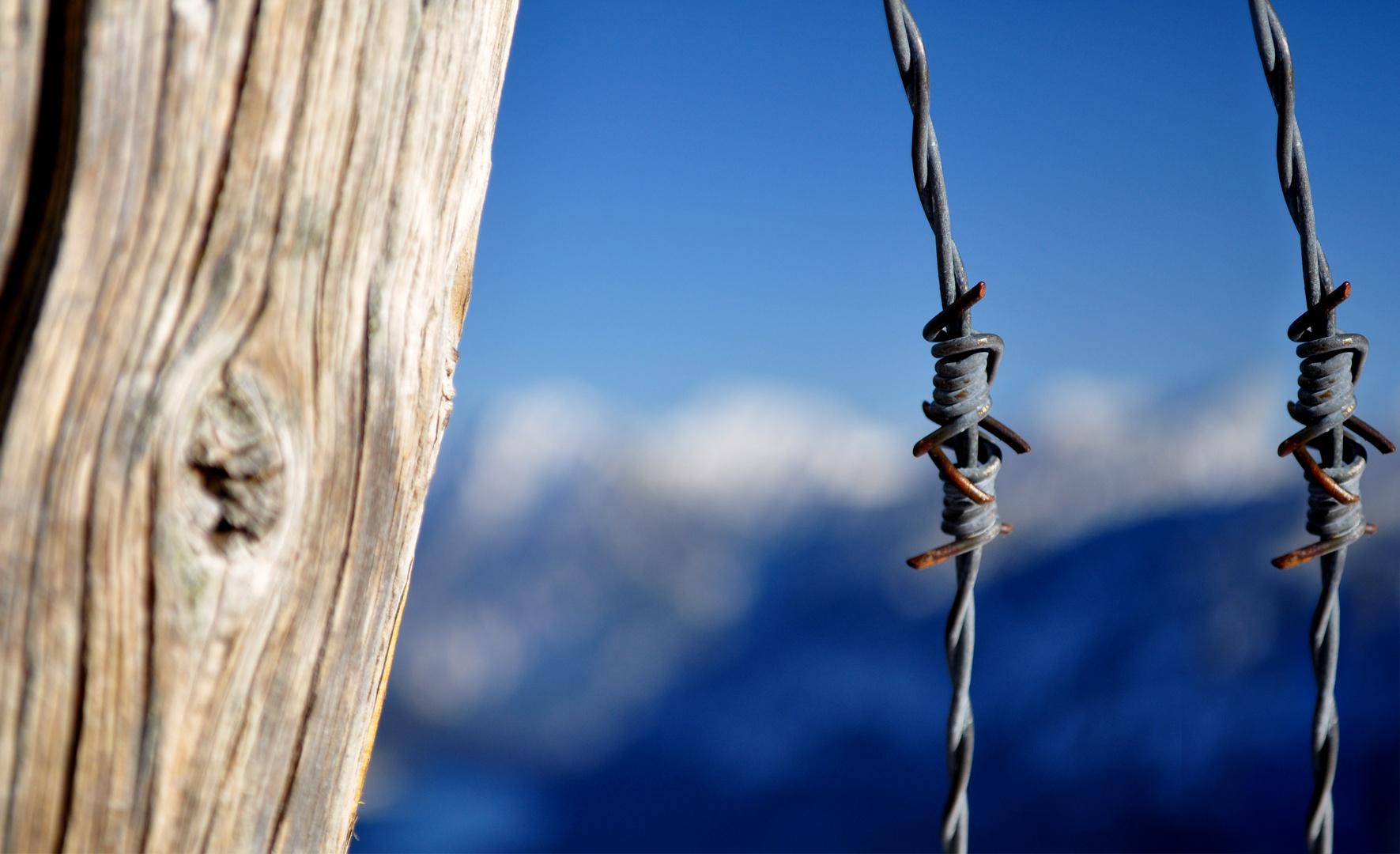 Stachelig: Drahtige Berge