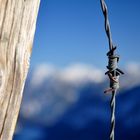 Stachelig: Drahtige Berge