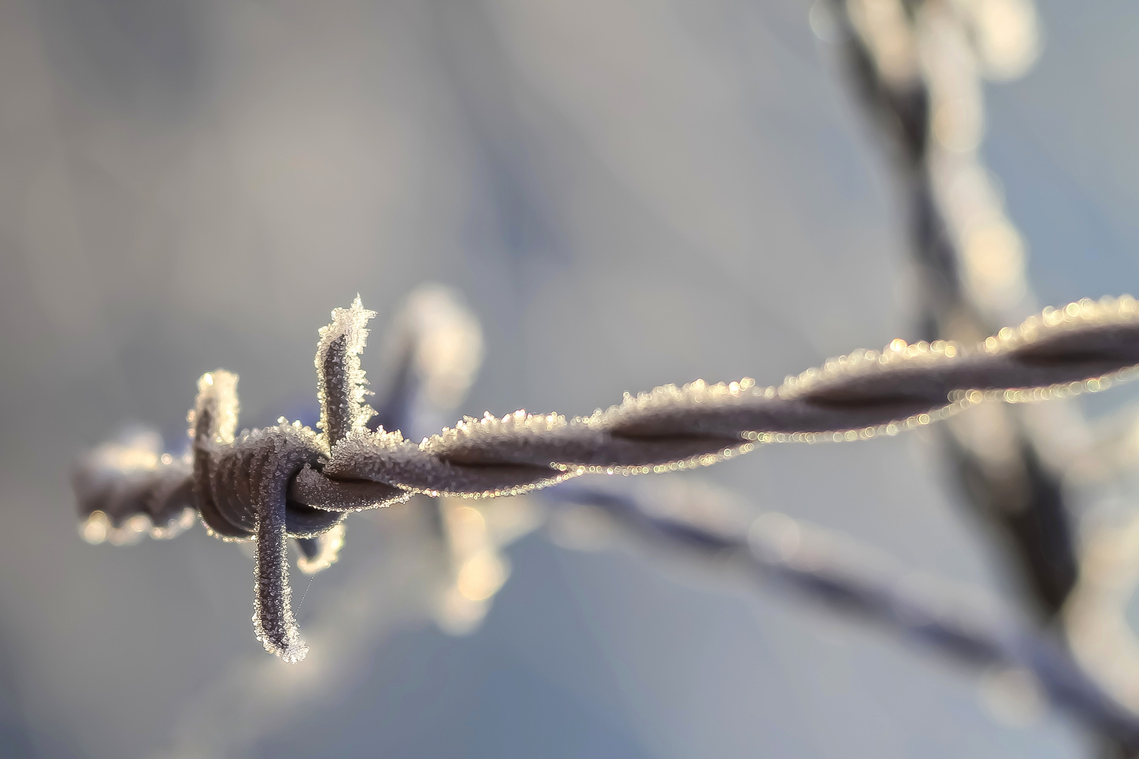 stachelig frostig