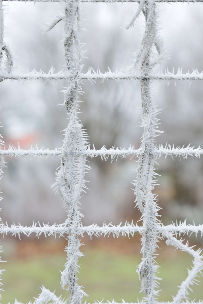 Stachelige Aussicht