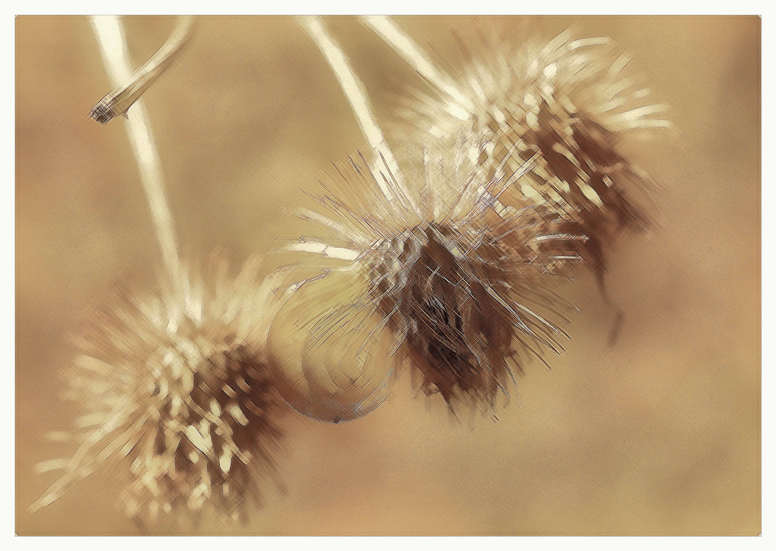 Stacheliges Versteck