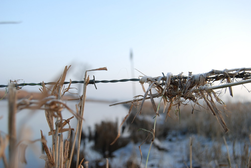 stachelknoten