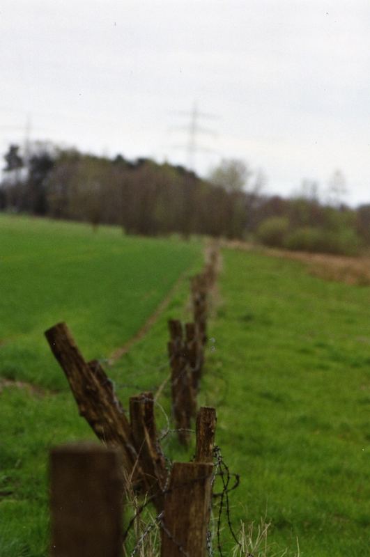 Stacheln am laufenden Meter