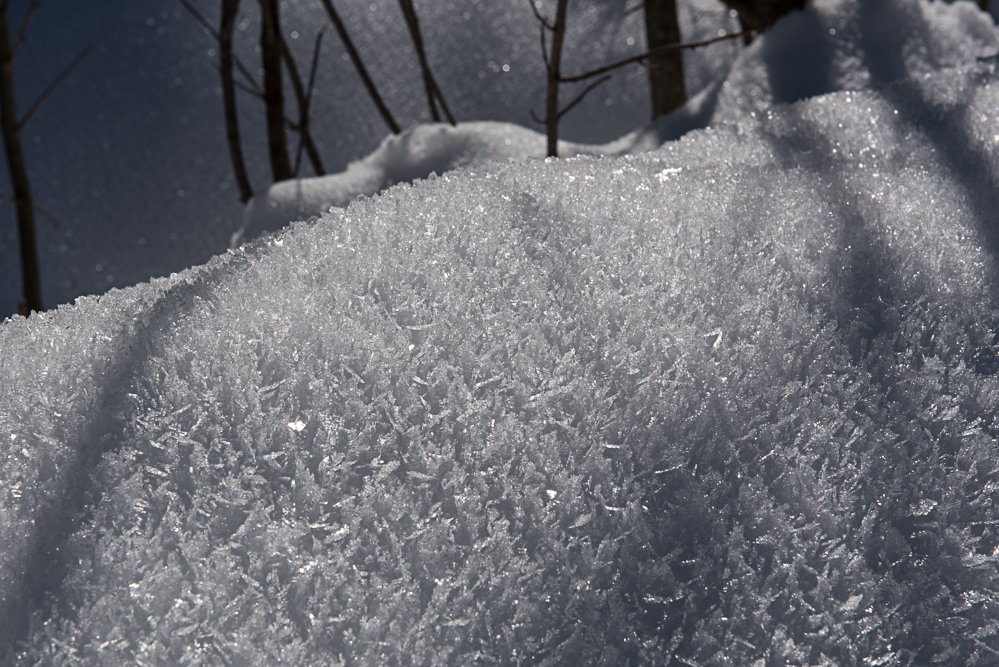 stachliger Schnee