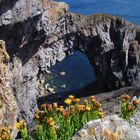 Stack Rocks, Pembrokeshire National Park