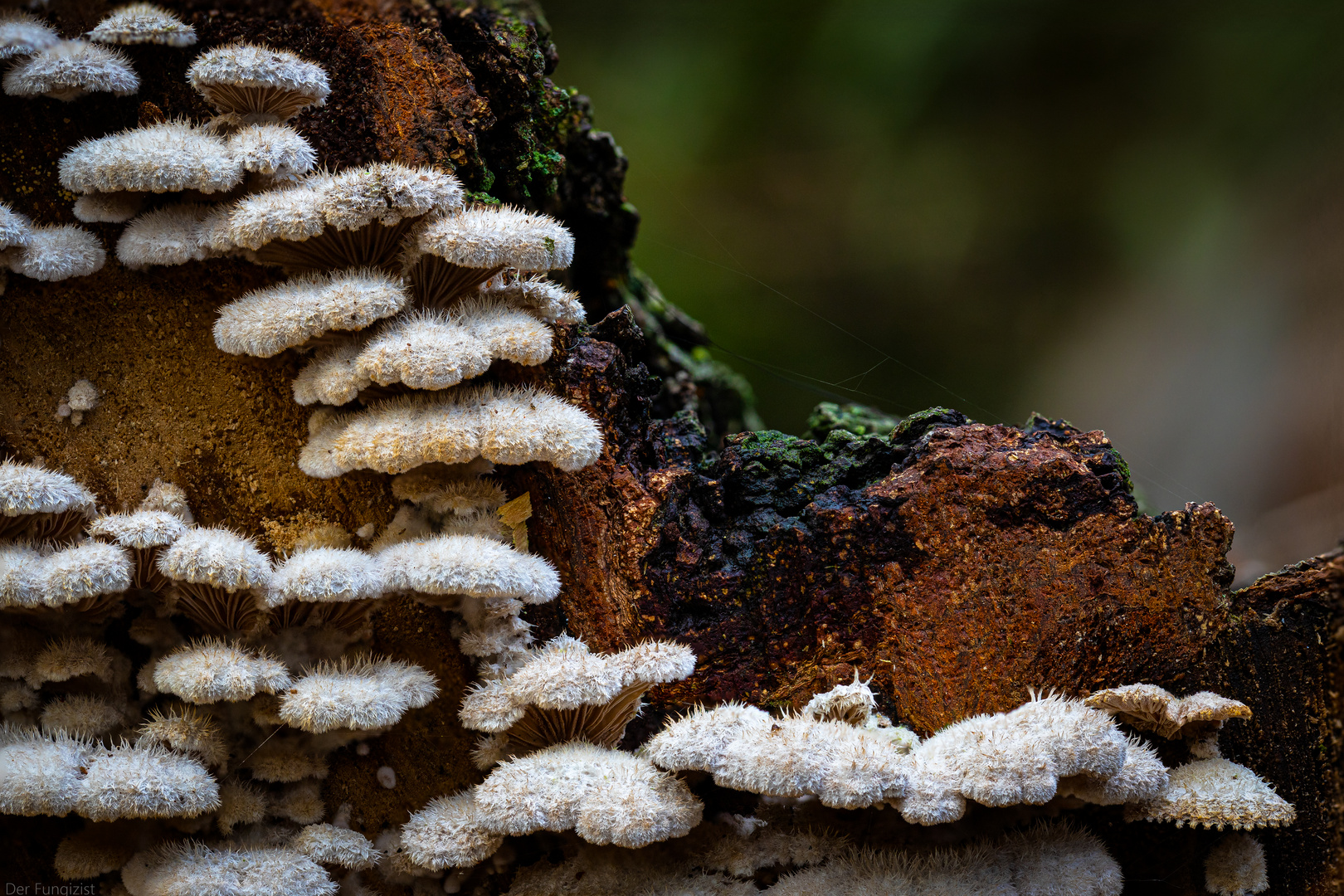 Stacking-Versuche