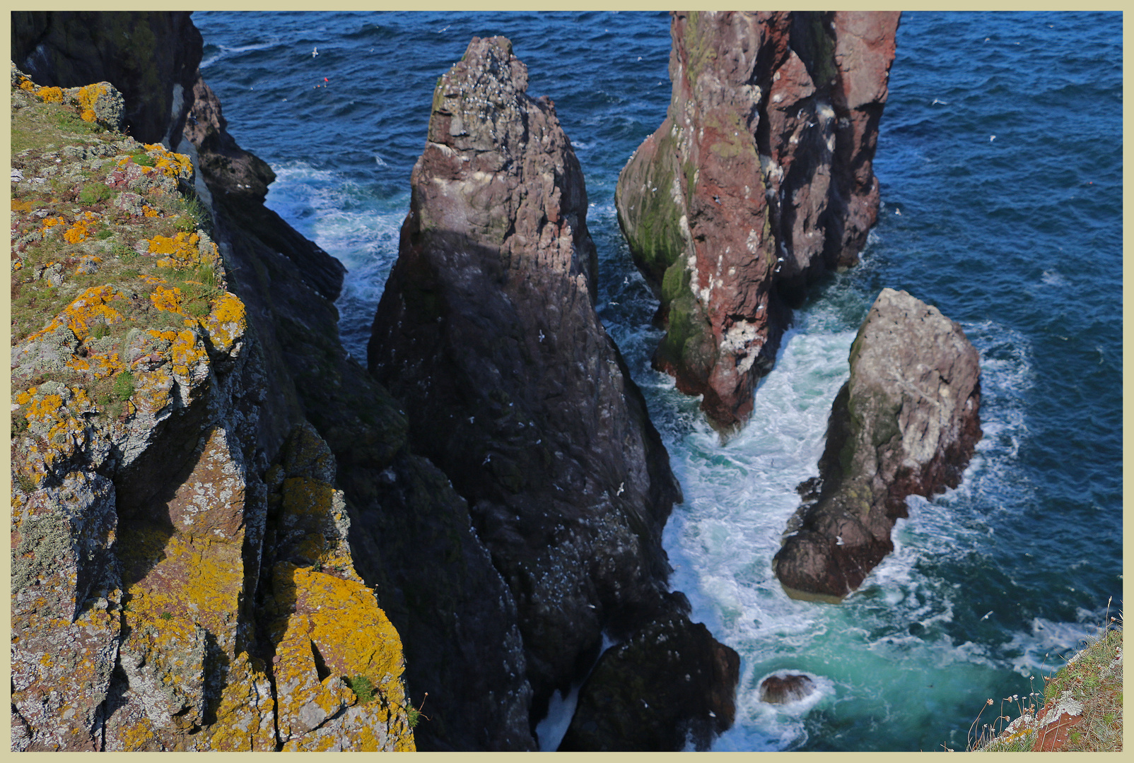 stacks at st abbs head 6