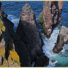 stacks at st abbs head 6