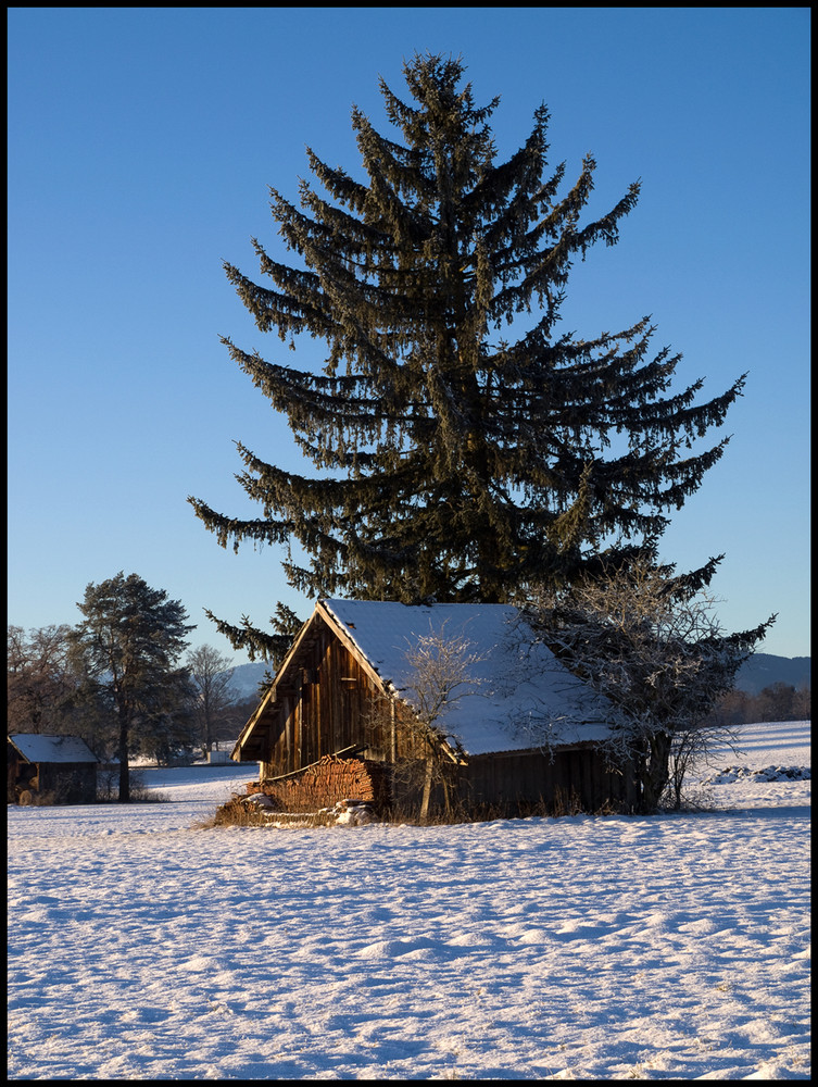 Stadel im Winter