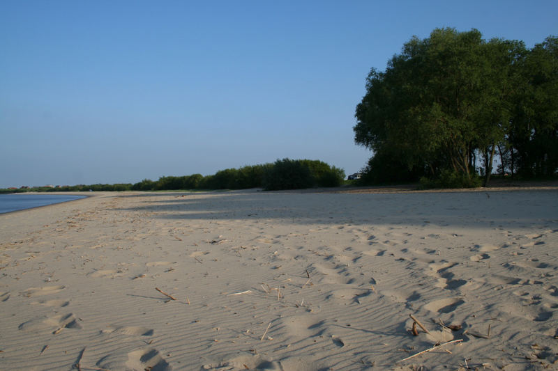 Stader Elbstrand Idylle