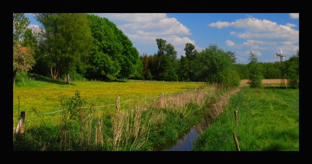 Stader Frühling