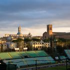 Stadio Artemi Franchi in Siena