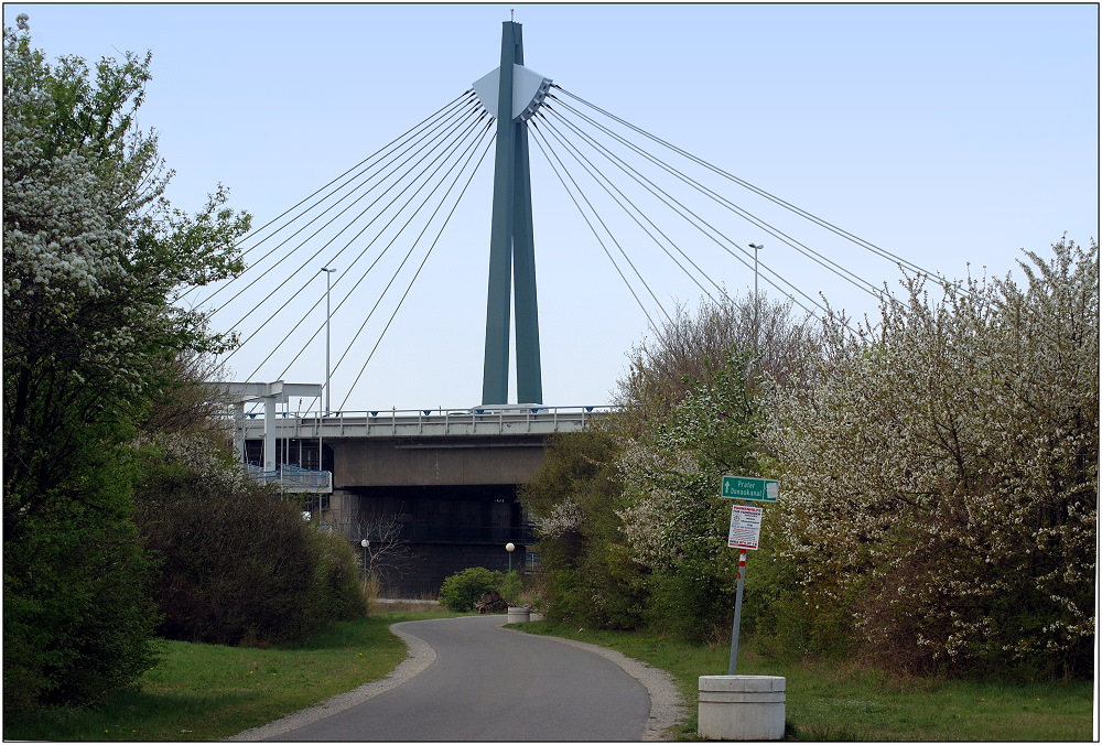 ... Stadionbrücke ...