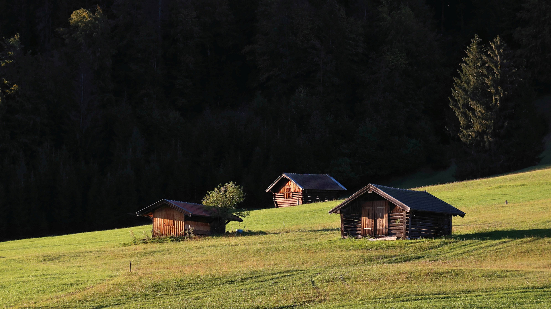 Stadl in the sun