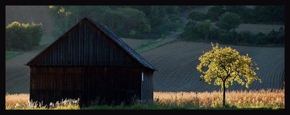 Stadl und Baum ~ Herbstabend