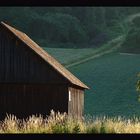 Stadl und Baum ~ Sommerabend