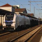 Stadler Eurodual im Nordhäuser Abendlicht.