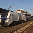 Stadler Eurodual in Nordhausen.