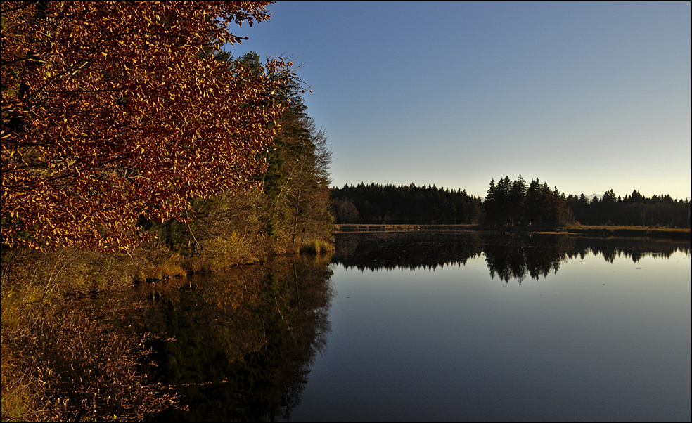 Stadler Weiher