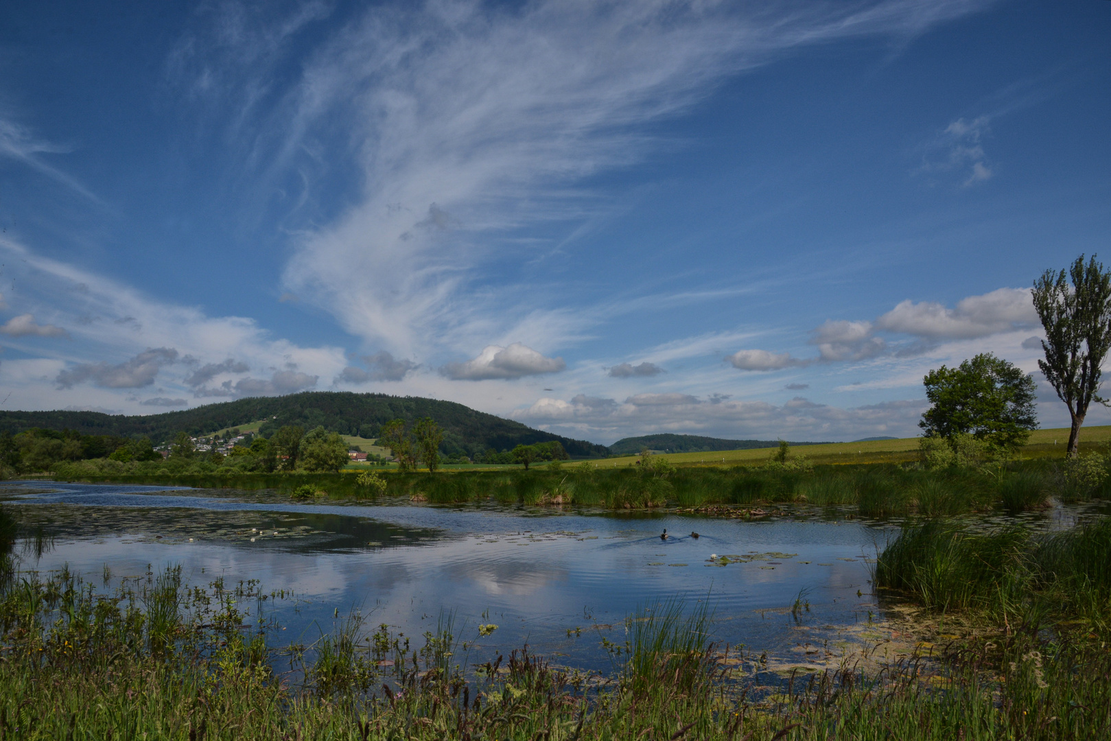 Stadler Weiher