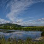 Stadler Weiher