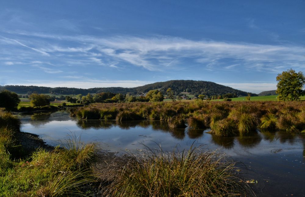 Stadler Weiher mit Schilf