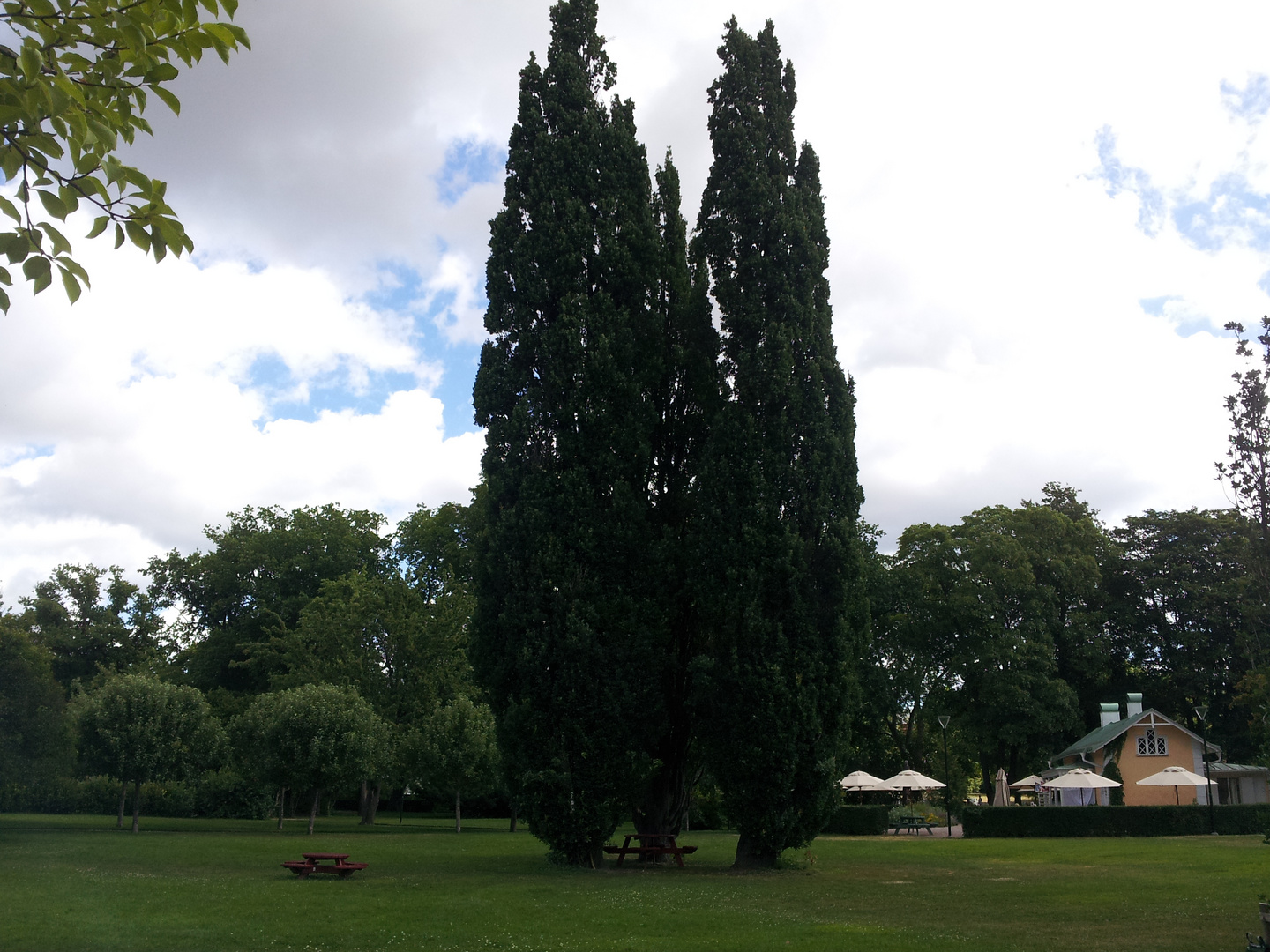  " Stadsparken", Uppsala, Sweden