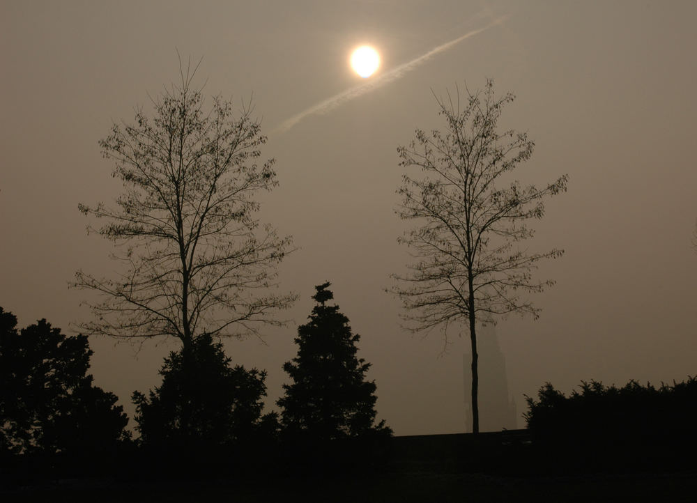 Stadt Bern im Nebel