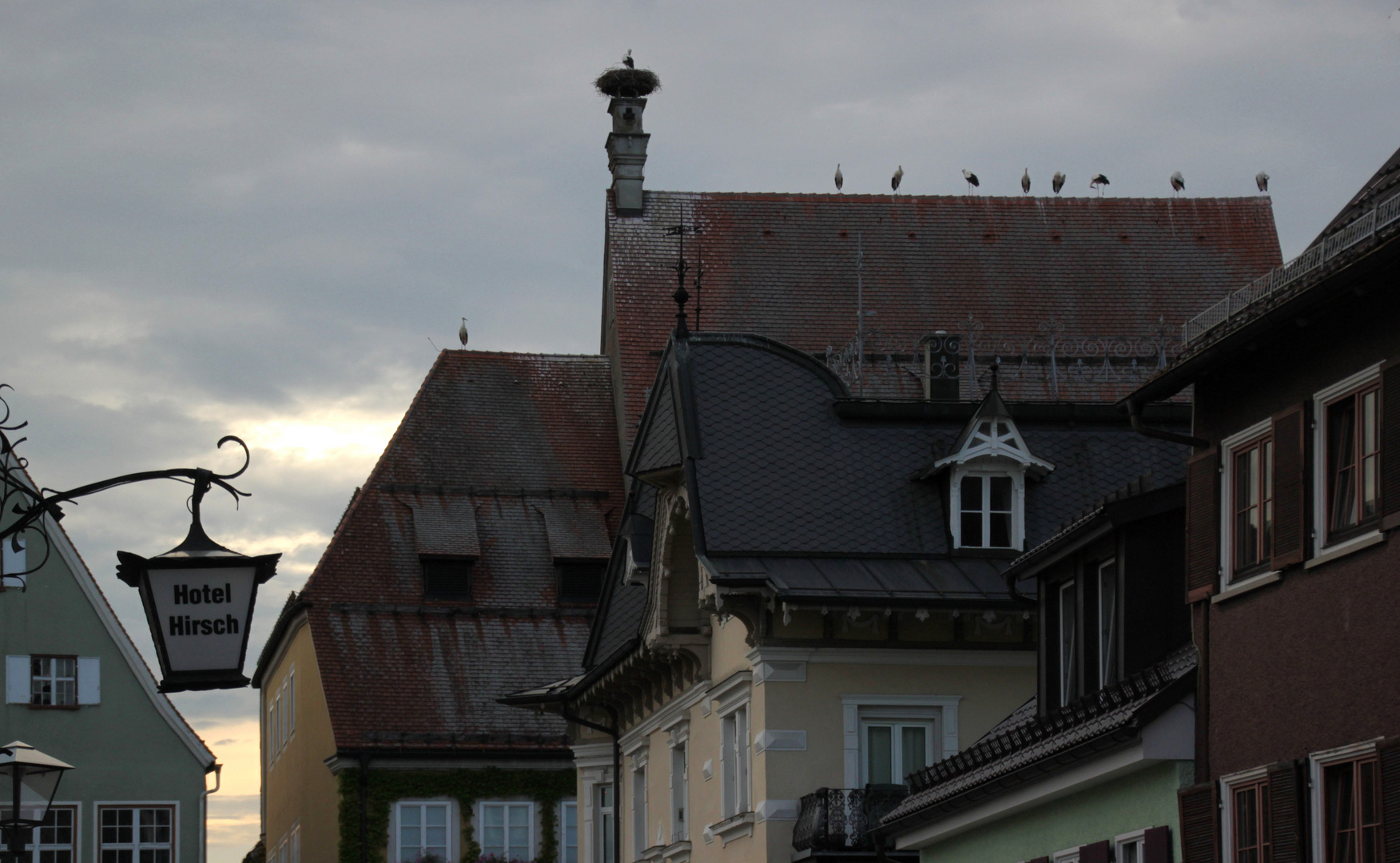 stadt der störche