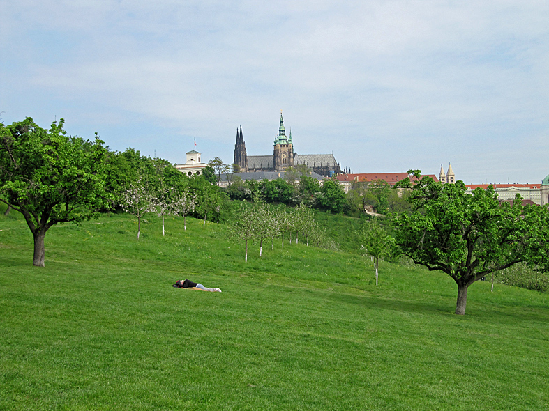 Stadt der Träume