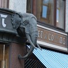 Stadt-Elephant