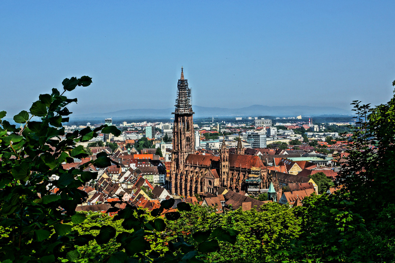 Stadt Freiburg