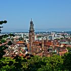 Stadt Freiburg