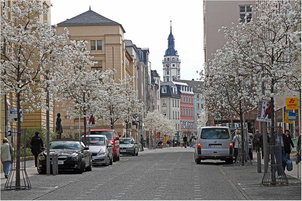 Stadt Gera - Magnolienblüte in der Schloßstrasse