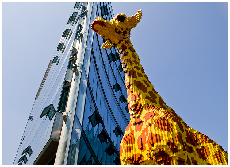 Stadt - Giraffe