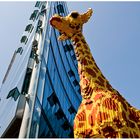 Stadt - Giraffe