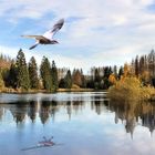 Stadt, Land, Fluss 