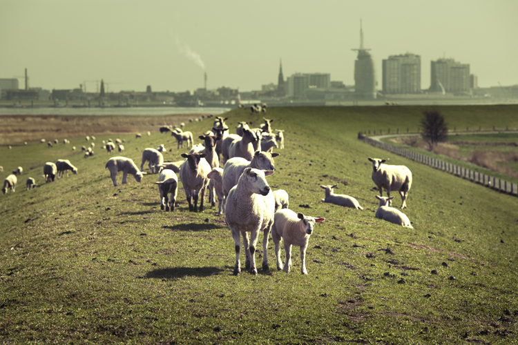 Stadt, Land, Fluss