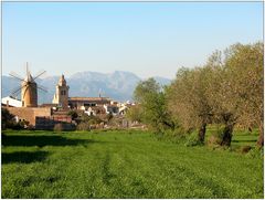 Stadt - Land - Frühling