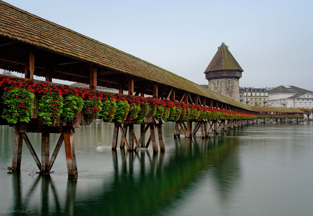 [ Stadt Luzern - II ]