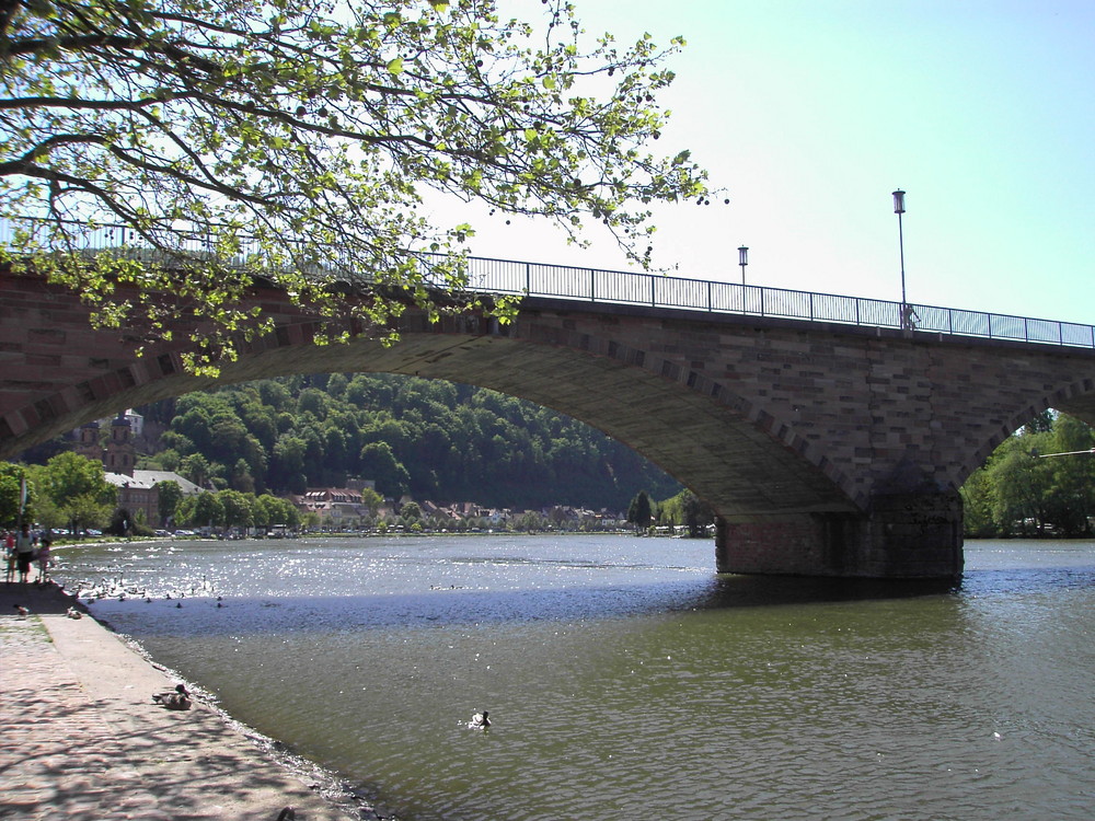 Stadt Miltenberg am Mainufer