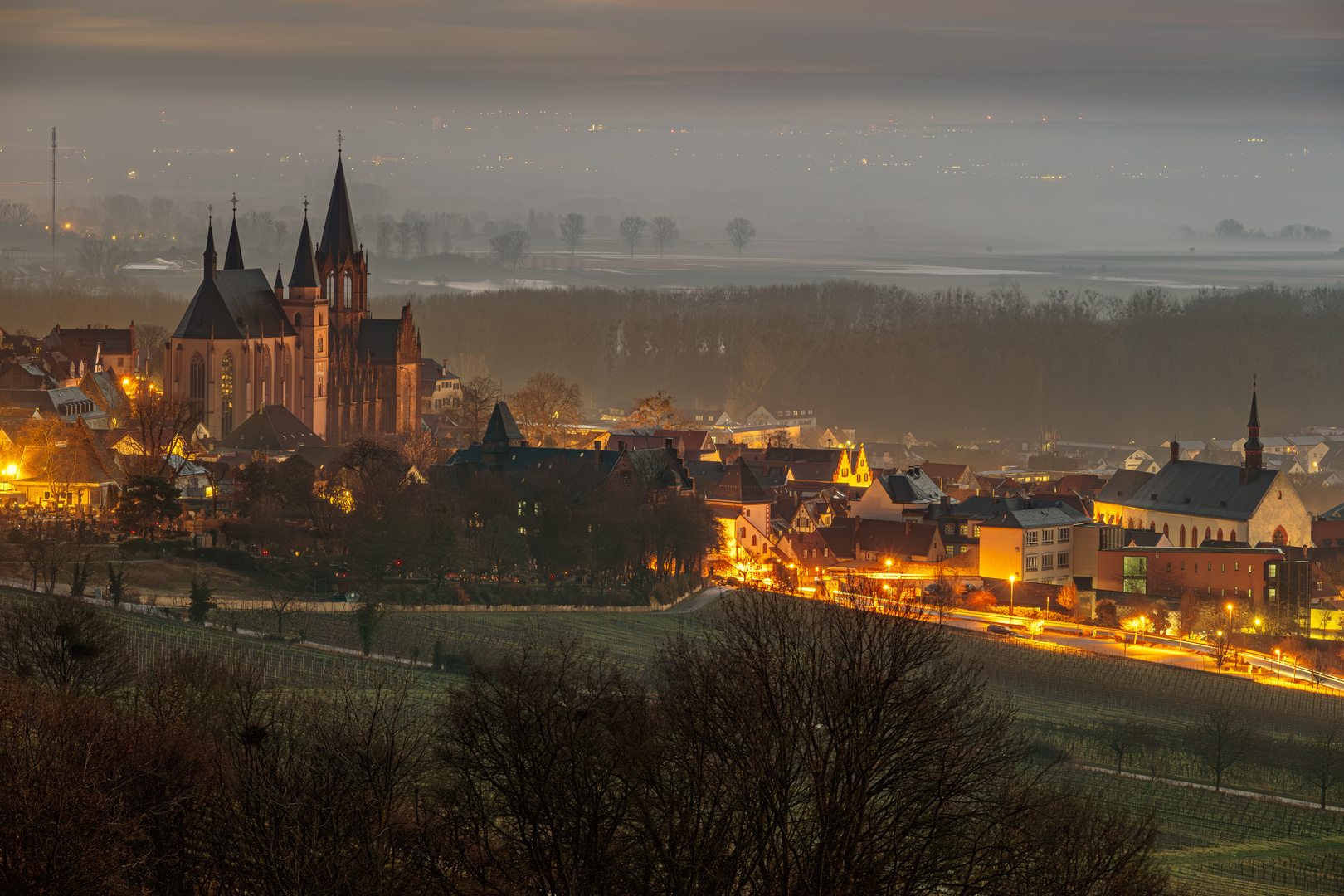 Stadt Oppenheim vor dem Nebel