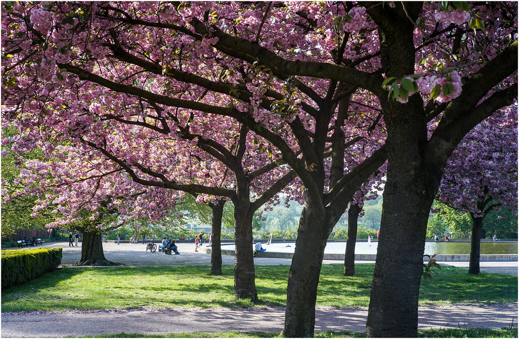 Stadt Park Idylle