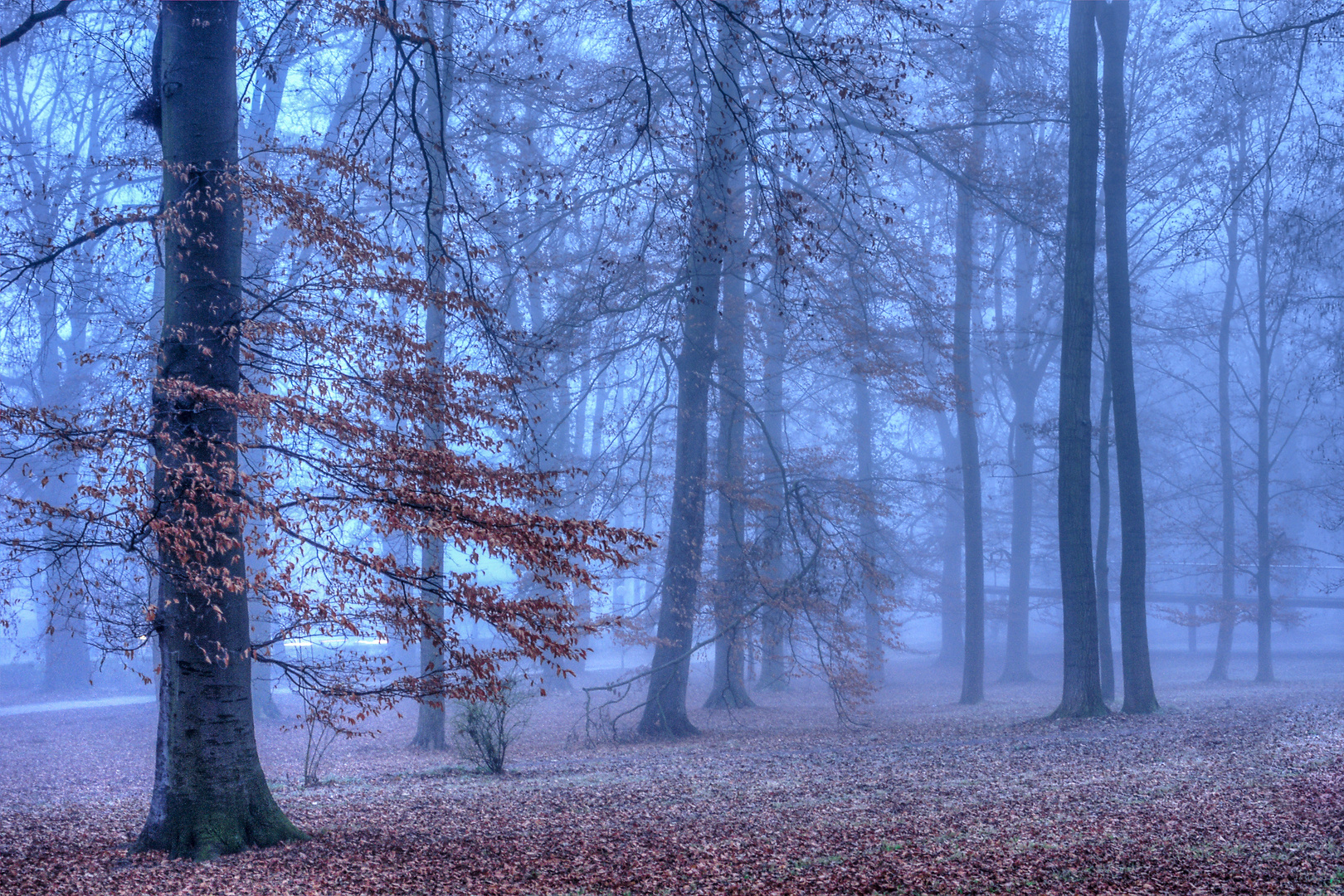 Stadt Park Neu Ulm im Nebel