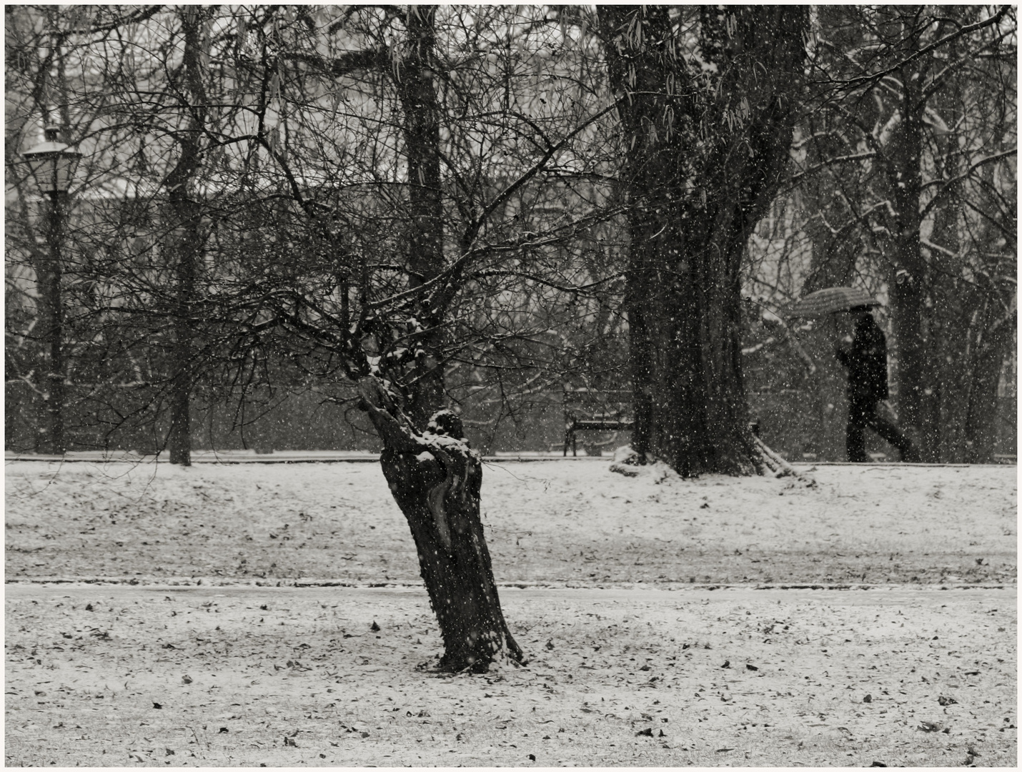 *stadt-park-winter*